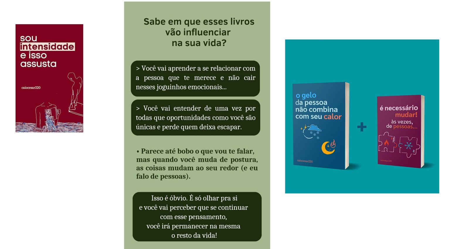Caiocesar220 os melhores Livros: Gelo não combina - Sou Intensidade e Isso me assusta Onde Aprender na internet