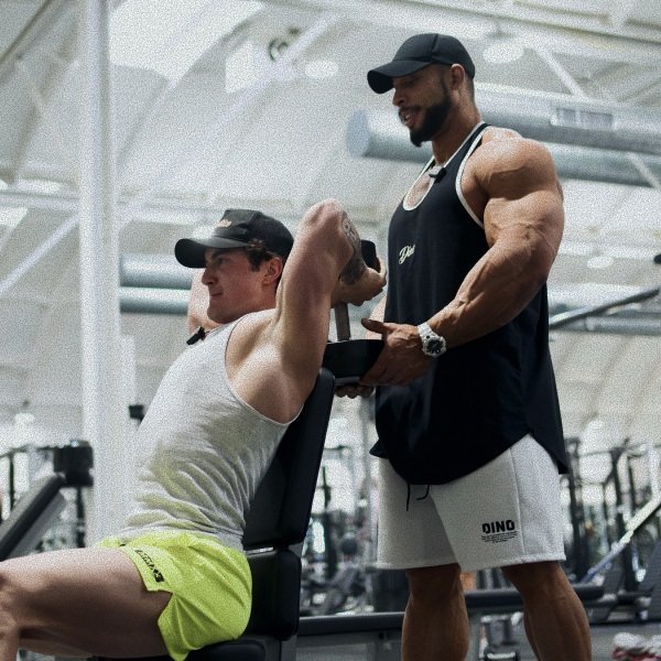 Planilha de Treino Ramon Dino Vale a Pena? A Realidade sobre o Dino App