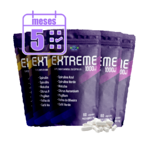 5meses Onde Aprender na internet